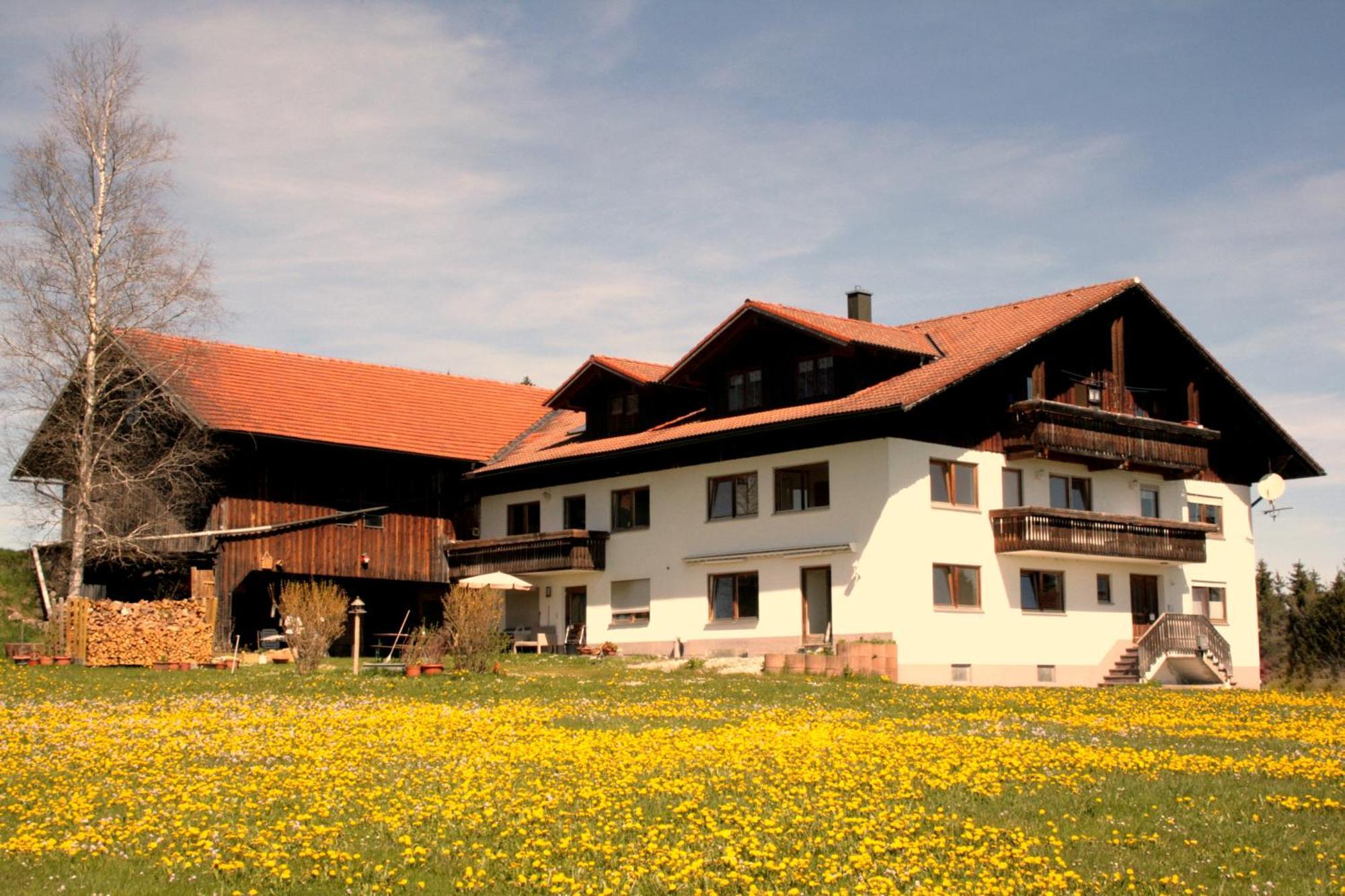 Haus Allgaeu Ruh Apartment Görisried Cameră foto